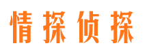 宣汉婚外情调查